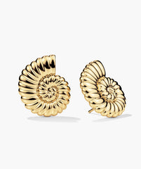 Ammonite Oversized Studs-18k Gold Vermeil