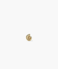 Single Ammonite Mini Stud-10k Yellow Gold