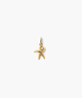 Star Crossed Charm-10k Yellow Gold / Natural Diamond