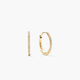 Pavé Diamond Small Hoops-14k Yellow Gold / Natural Diamond