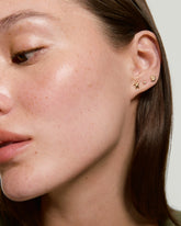 Single Ammonite Mini Stud-10k Yellow Gold