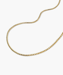2.5mm Round Box Chain Necklace-14k Yellow Gold / 20 inches