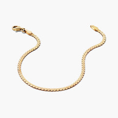 Serpentine Chain Bracelet-14k Yellow Gold / 6 inches