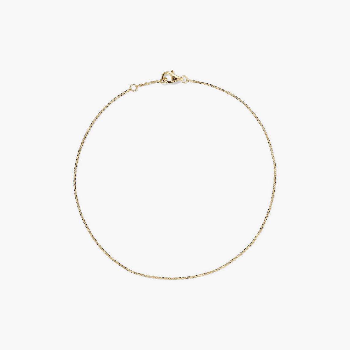 Chain Anklet-14k Yellow Gold / 9.5 inches