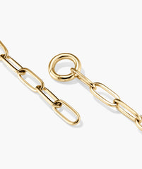 Paperclip Chain Charm Bracelet-14k Yellow Gold / 7.5 inches