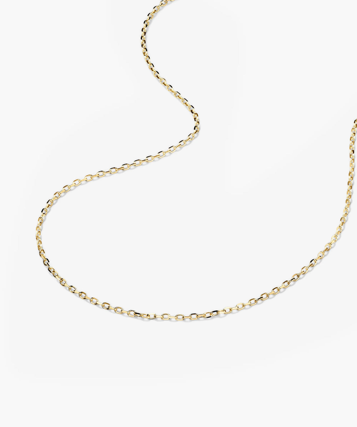 Chain Necklace-10k Yellow Gold / 20-22 inches